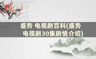 盛势 电视剧百科(盛势电视剧30集剧情介绍)